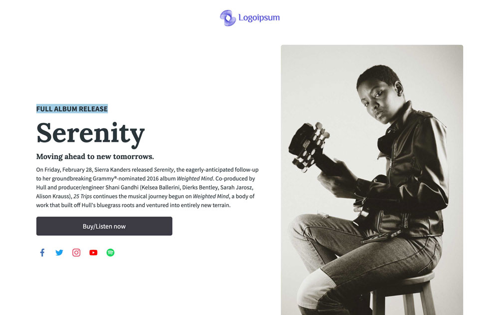 Singer / Musician preview