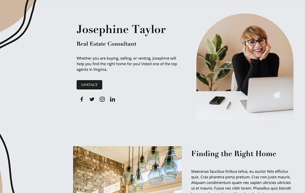 Real Estate Consultant preview