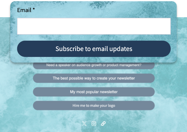 Newsletter sign up form on a link in bio page