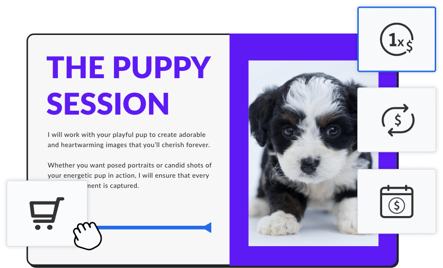 Ecommerce payment options for puppy photo session