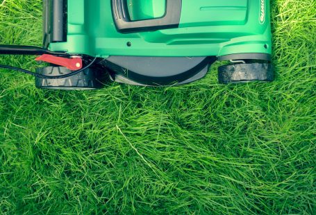 green lawnmower on the lawn